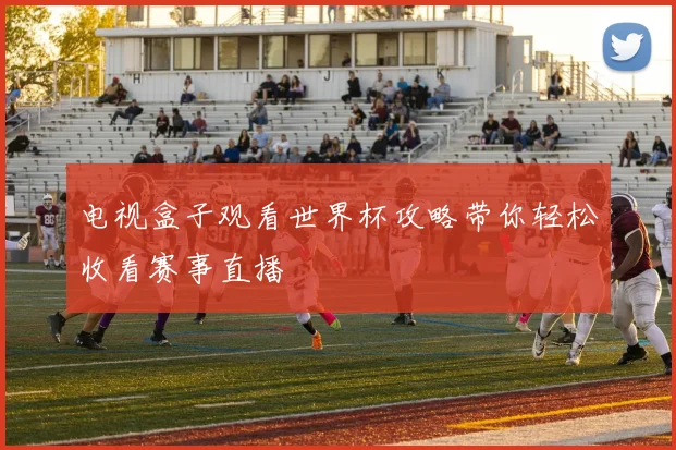 电视盒子观看世界杯攻略带你轻松收看赛事直播