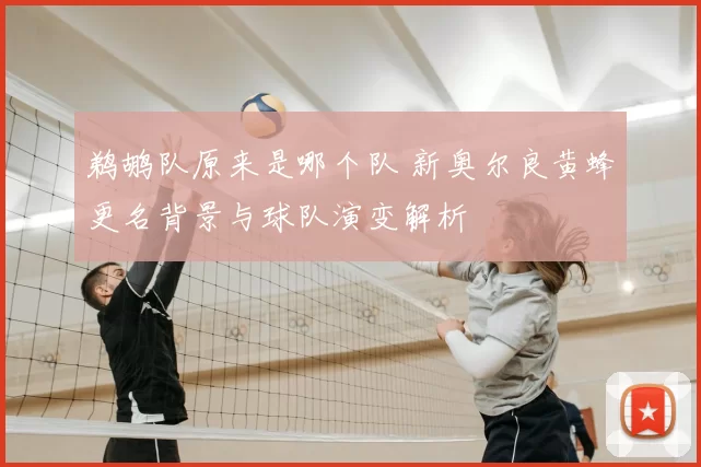 鹈鹕队原来是哪个队 新奥尔良黄蜂更名背景与球队演变解析