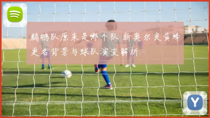 鹈鹕队原来是哪个队 新奥尔良黄蜂更名背景与球队演变解析